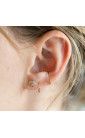 Boucles d'oreilles petites puces Coquillage